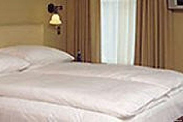 Hotel Fauchere (Milford)